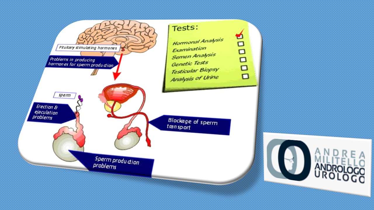 il varicocele provoca impotenza